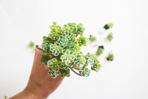 DIY SHRINKADINK PINS