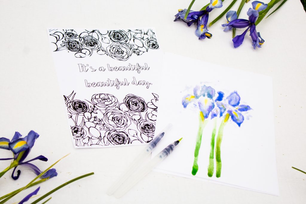 april coloring contest canary jane