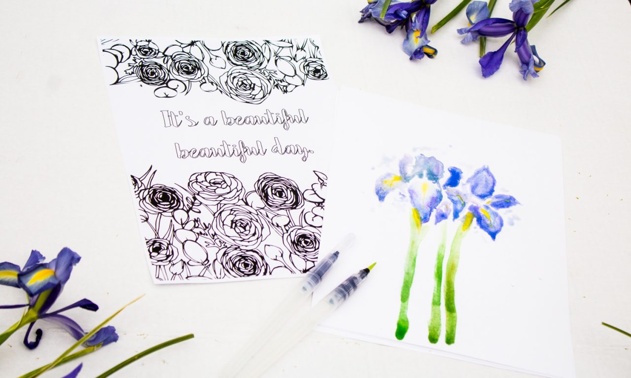 april coloring contest canary jane