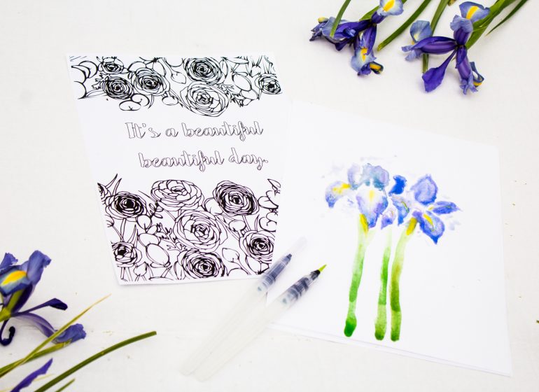 april coloring contest canary jane