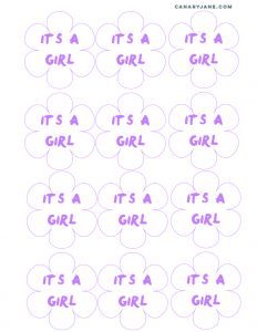 unicorn rainbow baby gender reveal