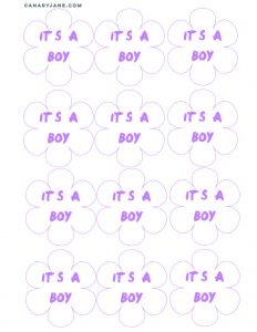 unicorn rainbow baby gender reveal