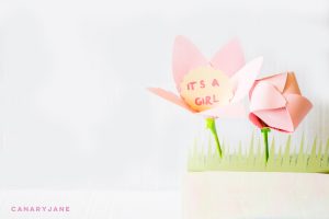 unicorn rainbow baby gender reveal