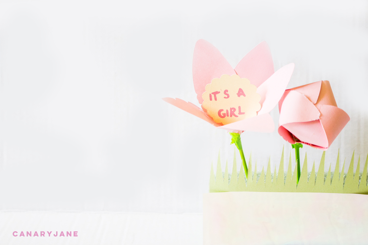 unicorn rainbow baby gender reveal