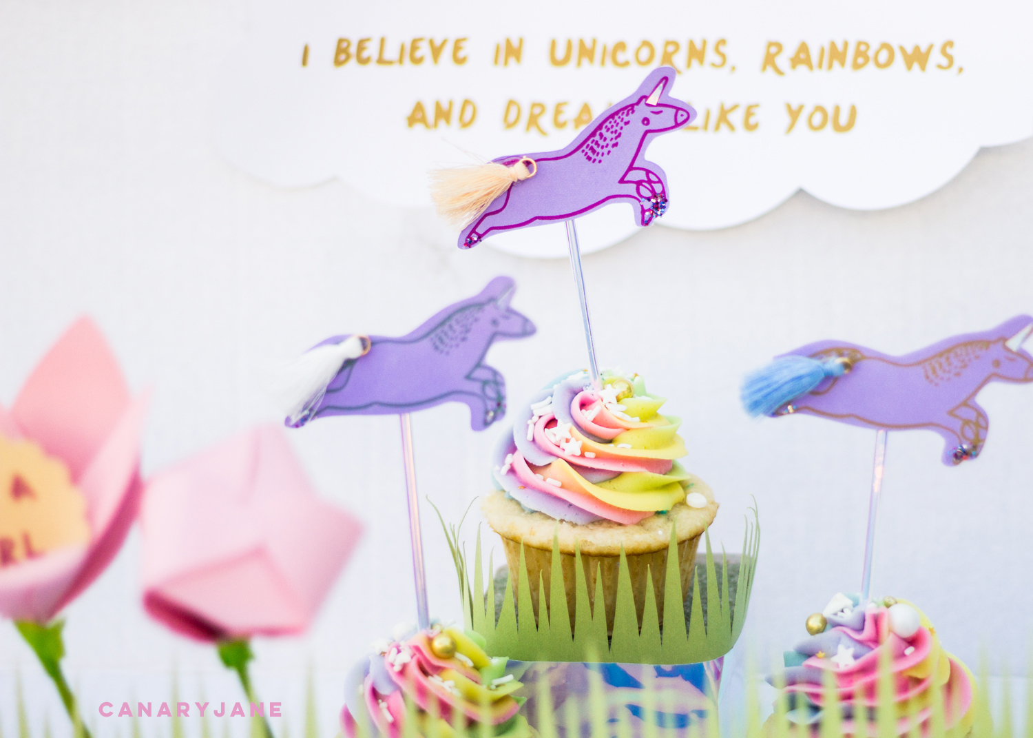unicorn rainbow baby gender reveal