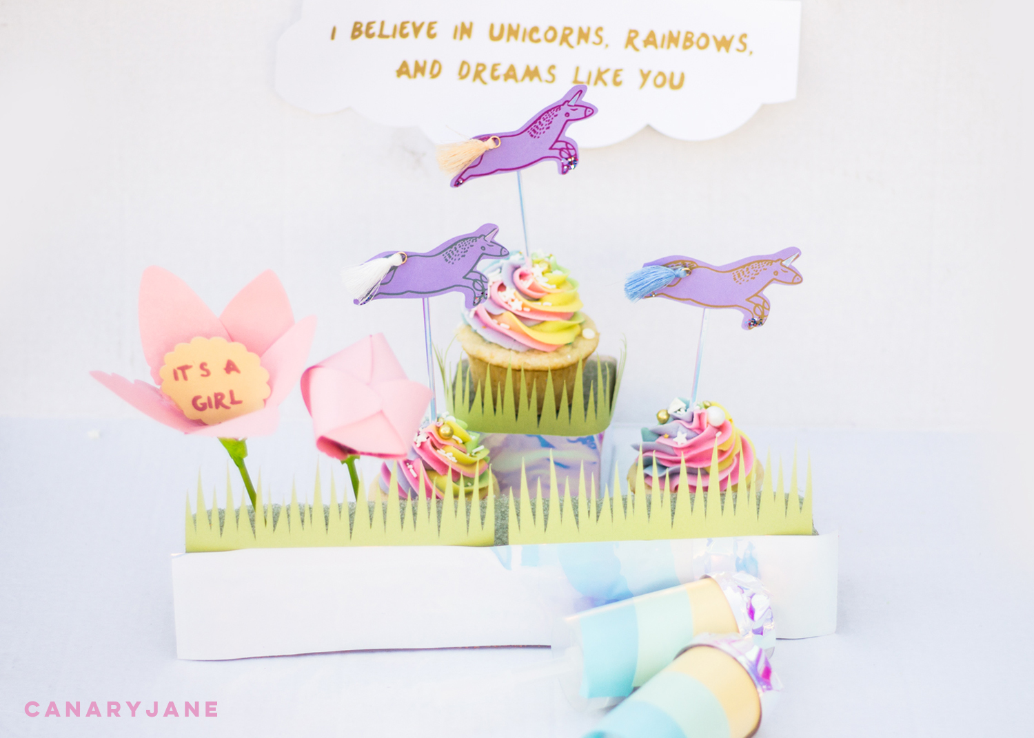 unicorn rainbow baby gender reveal