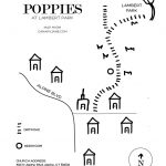 poppy field at lambert park