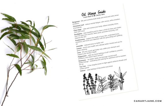 essential oils usage guide