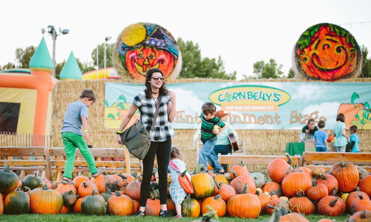 UTAH COUNTY CORN MAZES