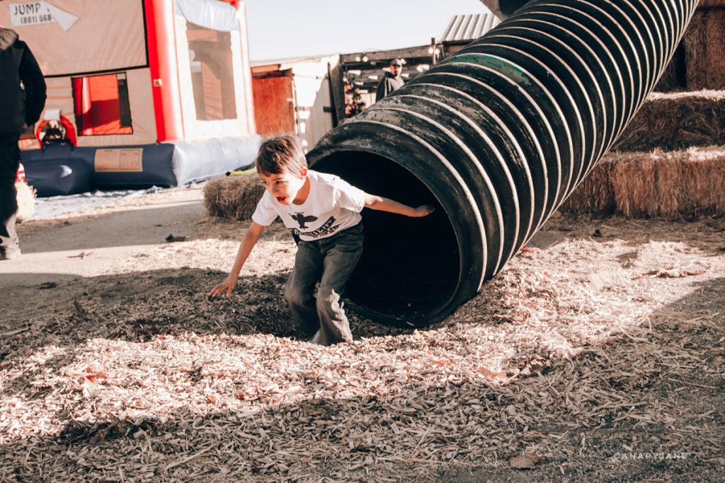 autumn kids jamboree