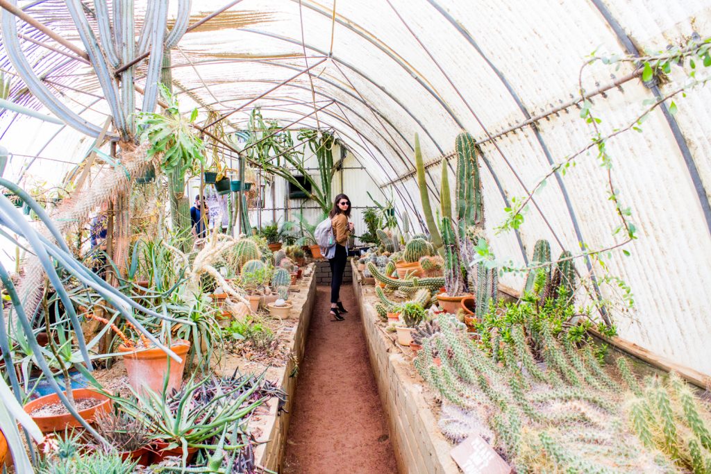 What the world needs is people who have some alive.