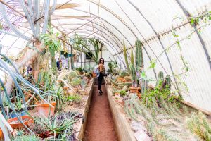 What the world needs is people who have some alive.