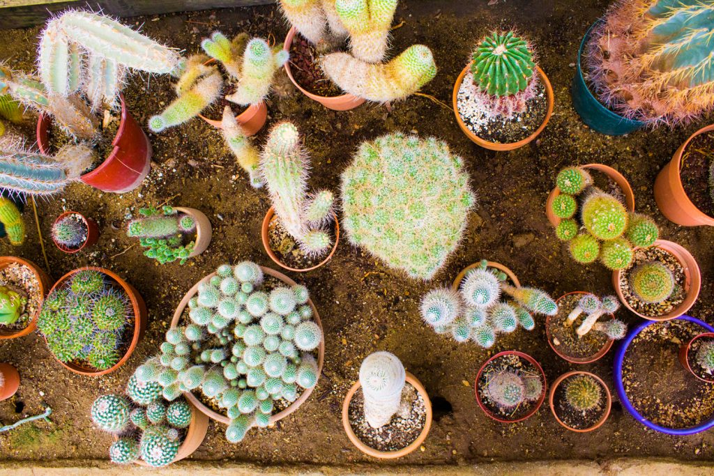 What the world needs is people who have some alive.