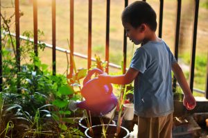 kid friendly gardneing