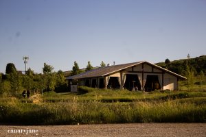 glamping at conestoga0