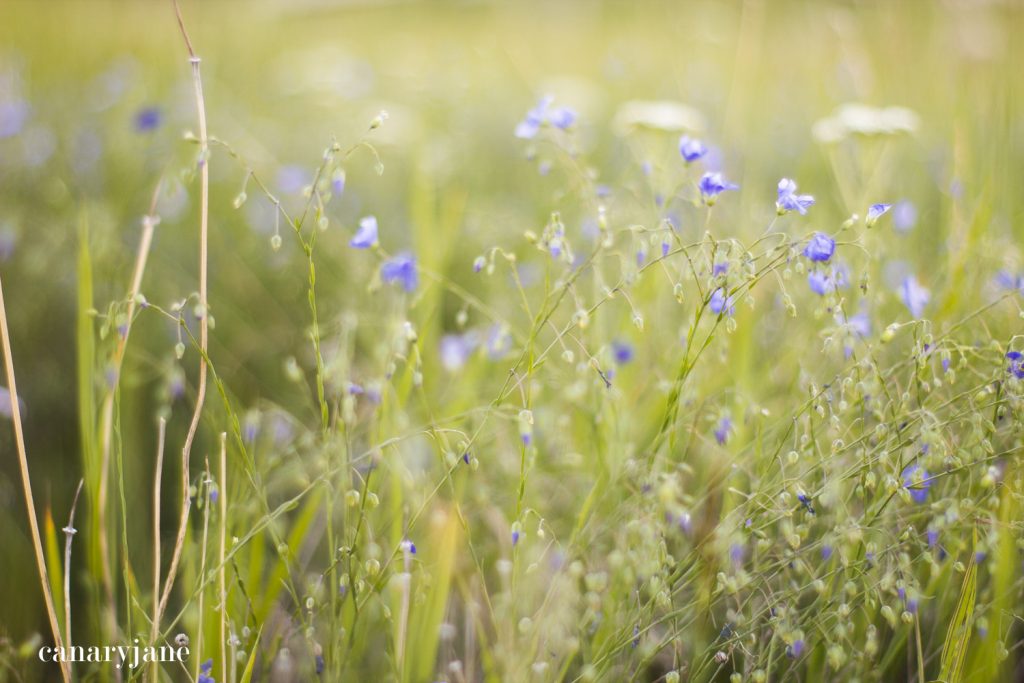 glamping at conestoga0