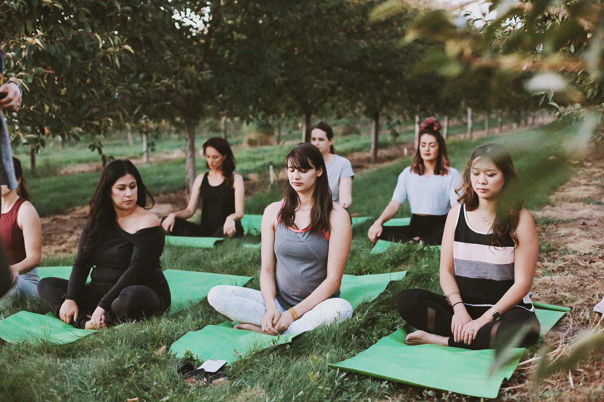 orcahrd event utah macrame pom-pom backdrop