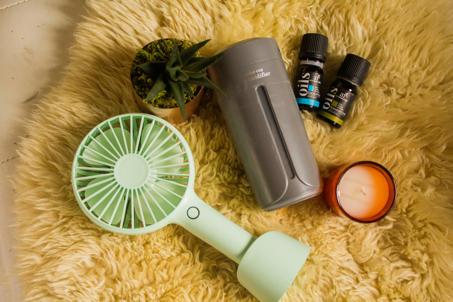 ways to naturally purify air