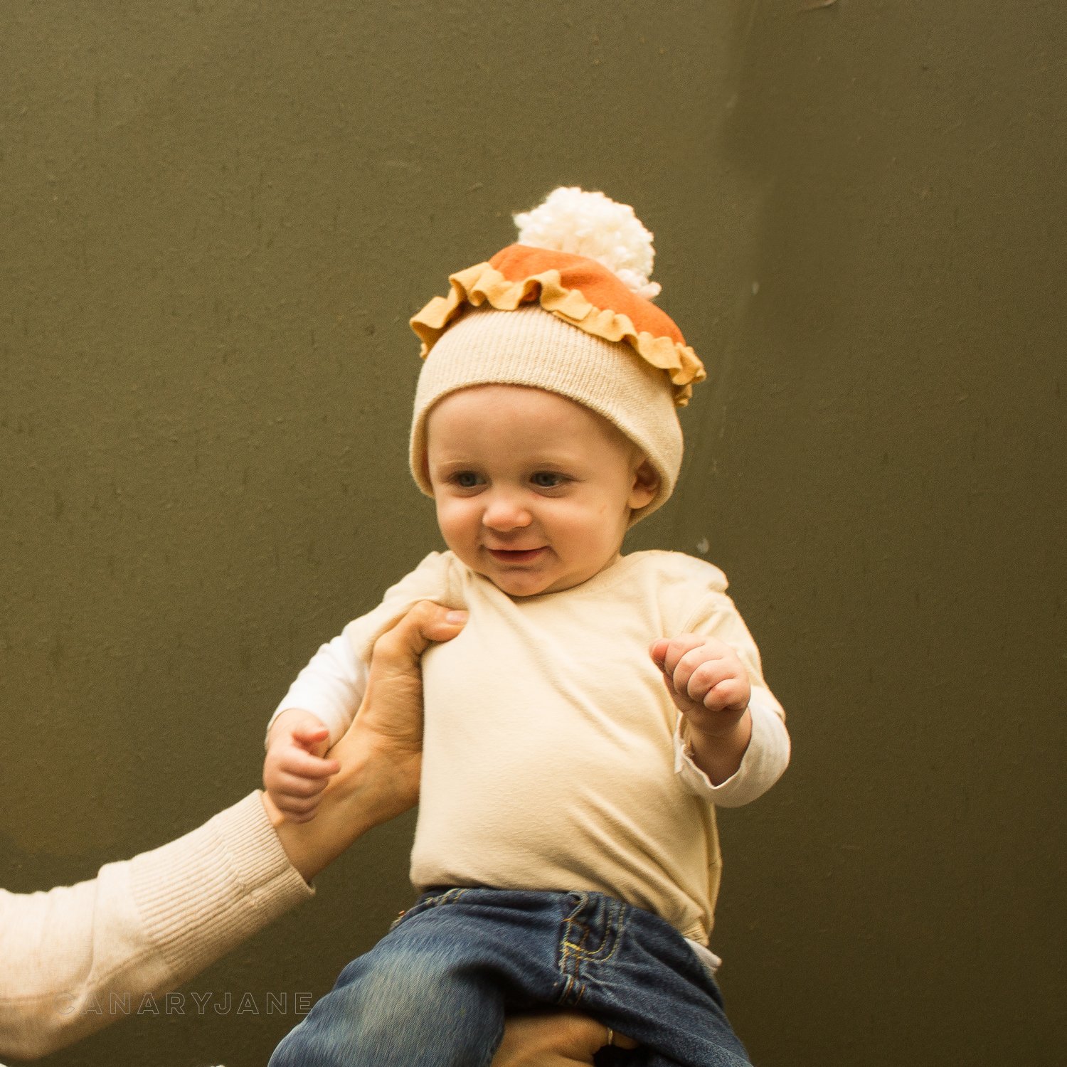 Pumpkin Pie DIY Beanie