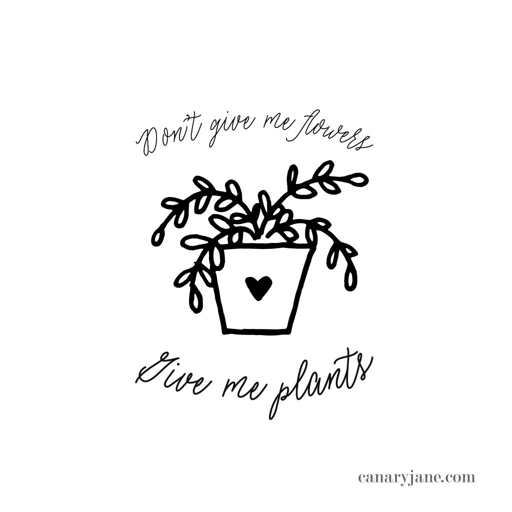 I love a good meme so I figured I pair my illustrations with some of my favorite Valentine sayings. Grab these Valentine graphics as Instagram posts or coloring pages. Printing instructions are found at the bottom if you need help.  If you do share on Instagram be sure to tag me and I will repost! Happy Valentines Day! Uterusus before Duderuses. Tacos and Love is All I Need . Don;t Give Me Flowers, Give Me Plants - Funny Sayings 