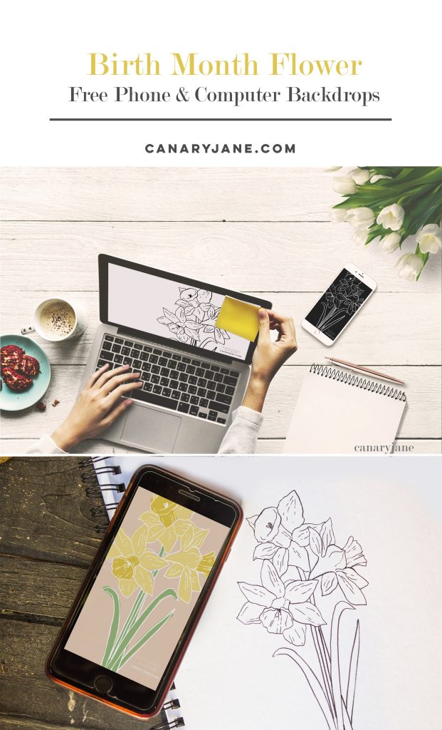 Download these free birth flower phone and computer desktop backgrounds for any month of the year! There are also free birth month flower coloring pages!