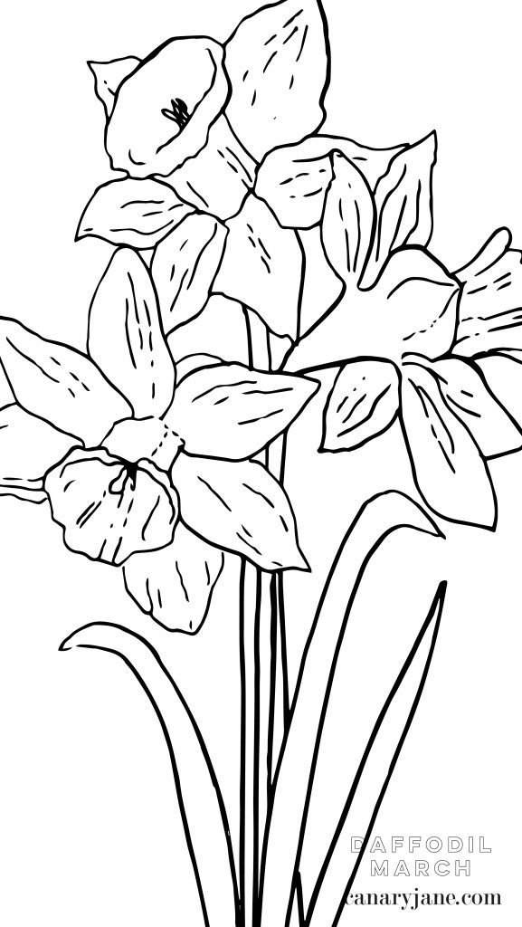 I've got the March free background ready for you! Grab these for your phone, March birth post and add this to your desktop. Grab these free March Daffodil Birth Flower Background & Coloring Page now.