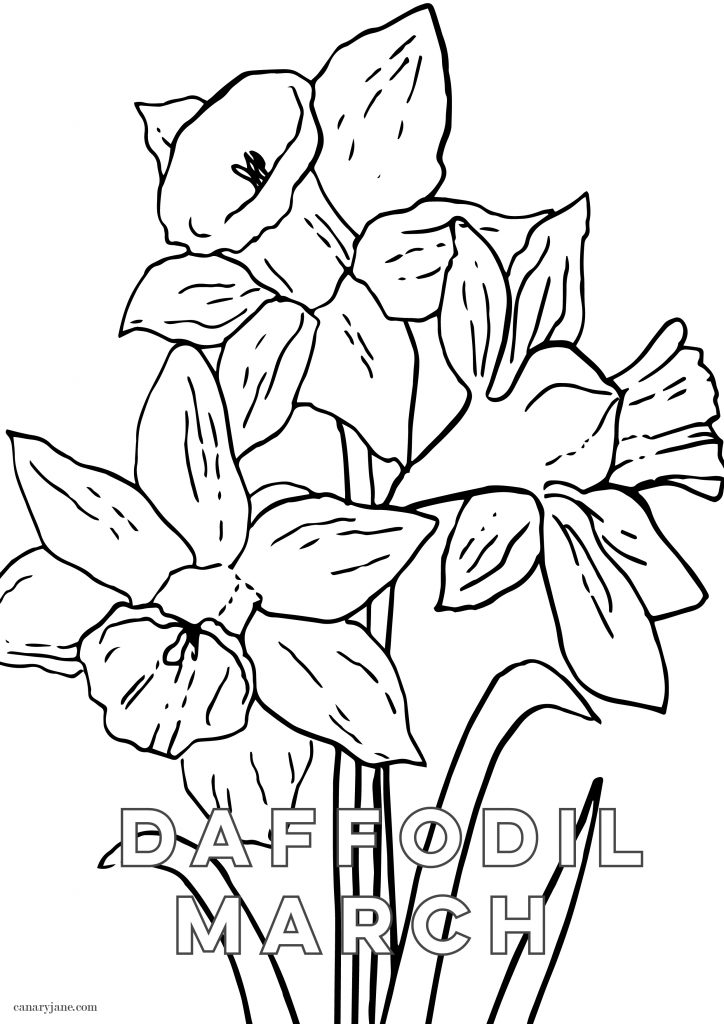 I've got the March free background ready for you! Grab these for your phone, March birth post and add this to your desktop. Grab these free March Daffodil Birth Flower Background & Coloring Page now.