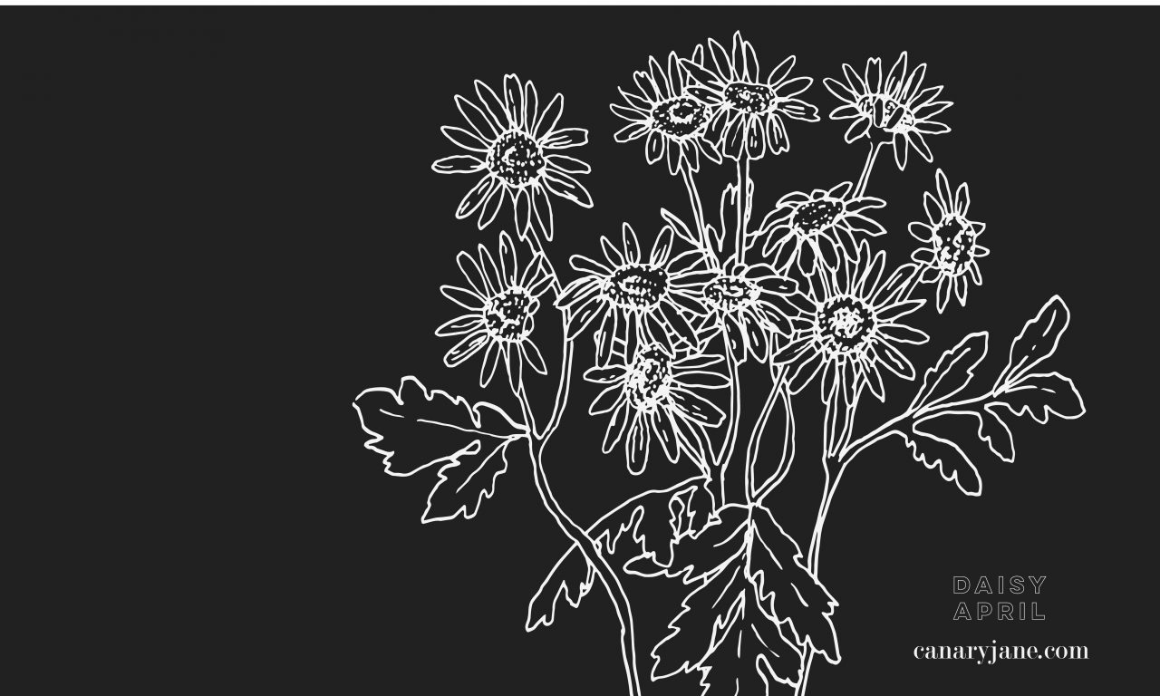 Grab the free birth flower phone and computer desktop backgrounds for any month of the year! This month is a Daisy for the April birth flower. There are also free birth month flower coloring page too.