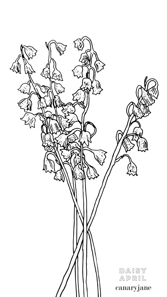 This month's birth flower illustration is up and it is the Lily of the Valley. I've also created a free May birth month flower coloring page too. You can save these free birth flower  illustrations for your phone and computer desktop backgrounds.