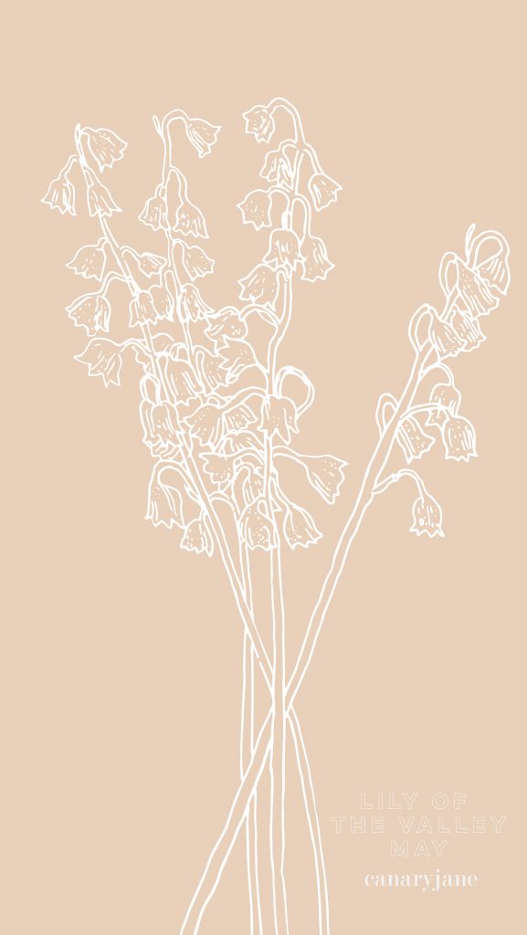 This month's birth flower illustration is up and it is the Lily of the Valley. I've also created a free May birth month flower coloring page too. You can save these free birth flower  illustrations for your phone and computer desktop backgrounds.