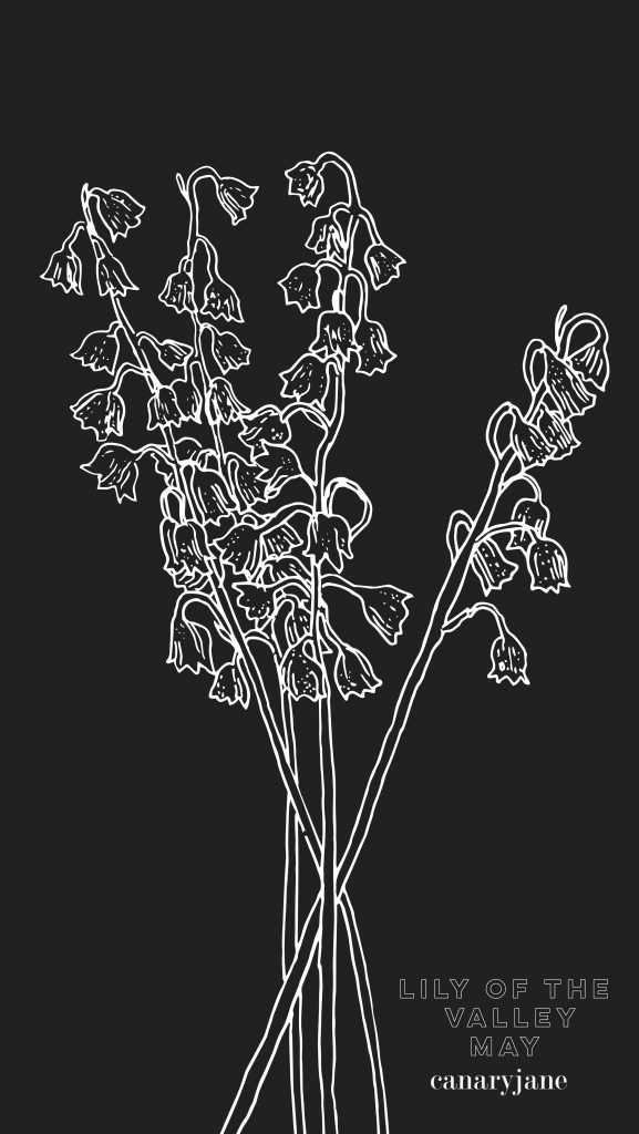 This month's birth flower illustration is up and it is the Lily of the Valley. I've also created a free May birth month flower coloring page too. You can save these free birth flower  illustrations for your phone and computer desktop backgrounds.