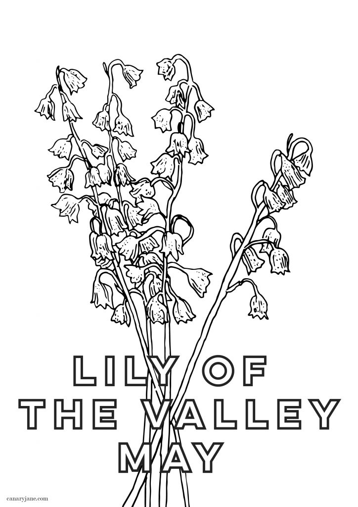 This month's birth flower illustration is up and it is the Lily of the Valley. I've also created a free May birth month flower coloring page too. You can save these free birth flower  illustrations for your phone and computer desktop backgrounds.