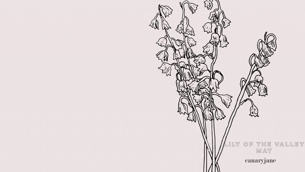 This month's birth flower illustration is up and it is the Lily of the Valley. I've also created a free May birth month flower coloring page too. You can save these free birth flower  illustrations for your phone and computer desktop backgrounds.