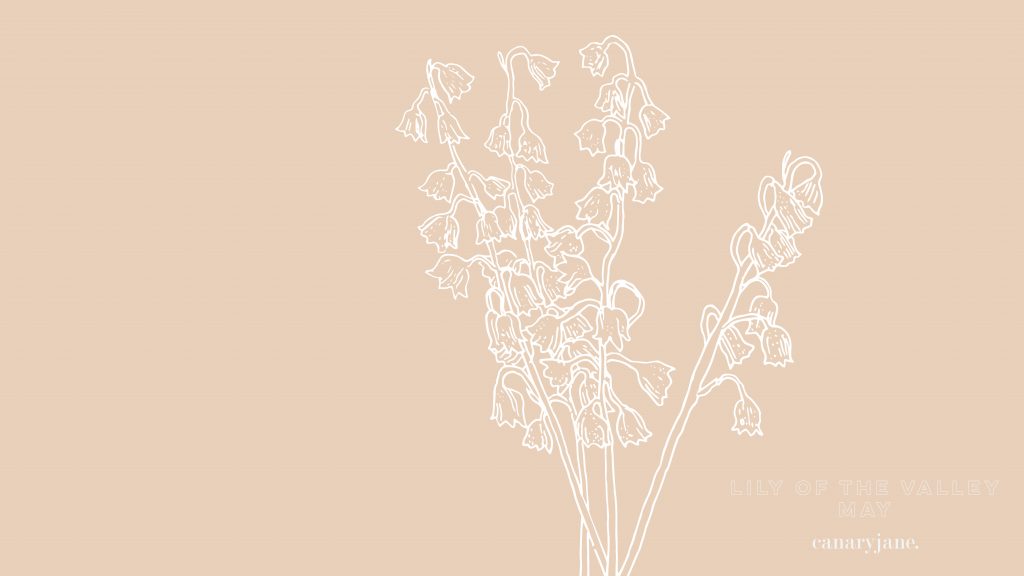 This month's birth flower illustration is up and it is the Lily of the Valley. I've also created a free May birth month flower coloring page too. You can save these free birth flower  illustrations for your phone and computer desktop backgrounds.