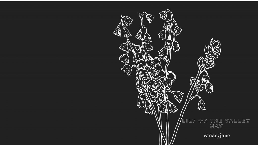 This month's birth flower illustration is up and it is the Lily of the Valley. I've also created a free May birth month flower coloring page too. You can save these free birth flower  illustrations for your phone and computer desktop backgrounds.