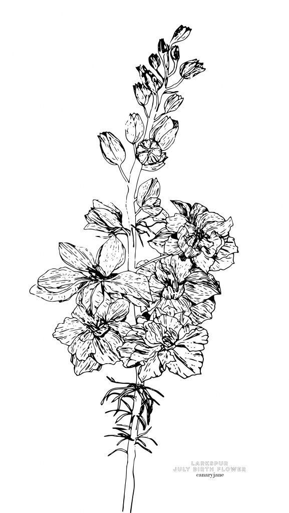 Happy July! To continue our monthly series, I have your free June Larkspur birth flower coloring page and background for you! You can see January through June by clicking the links found below. 