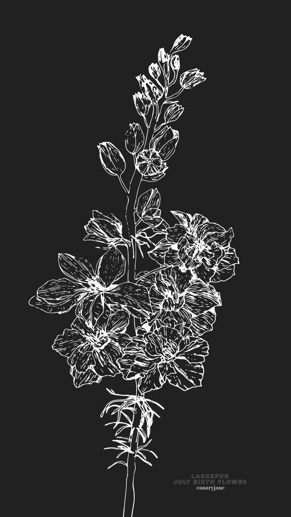 Happy July! To continue our monthly series, I have your free June Larkspur birth flower coloring page and background for you! You can see January through June by clicking the links found below. 