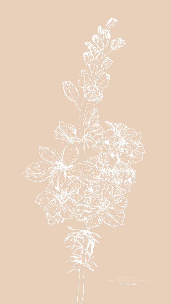 Happy July! To continue our monthly series, I have your free June Larkspur birth flower coloring page and background for you! You can see January through June by clicking the links found below. 