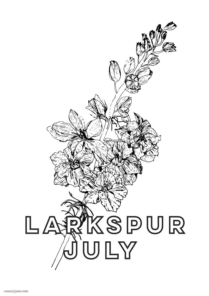 Happy July! To continue our monthly series, I have your free June Larkspur birth flower coloring page and background for you! You can see January through June by clicking the links found below. 