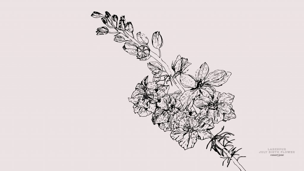 Happy July! To continue our monthly series, I have your free June Larkspur birth flower coloring page and background for you! You can see January through June by clicking the links found below. 