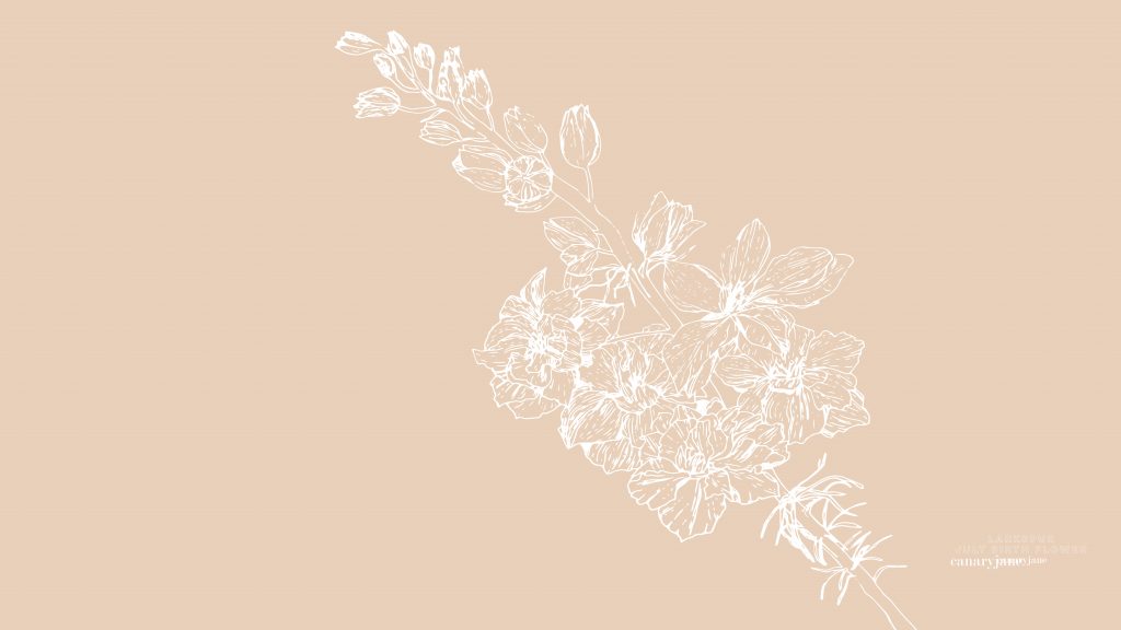 Happy July! To continue our monthly series, I have your free June Larkspur birth flower coloring page and background for you! You can see January through June by clicking the links found below. 