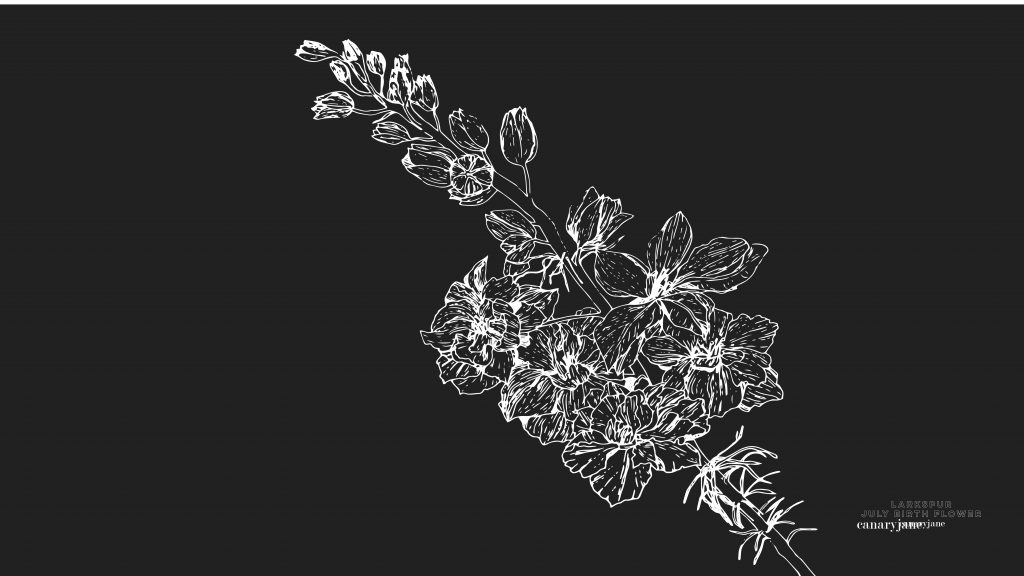 Happy July! To continue our monthly series, I have your free June Larkspur birth flower coloring page and background for you! You can see January through June by clicking the links found below. 