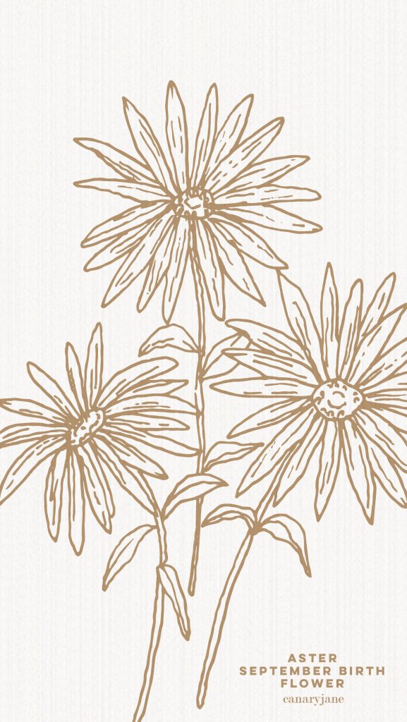 Grab this free printable and free download for the Aster September birth flower. You can put it as your phone background or color away.