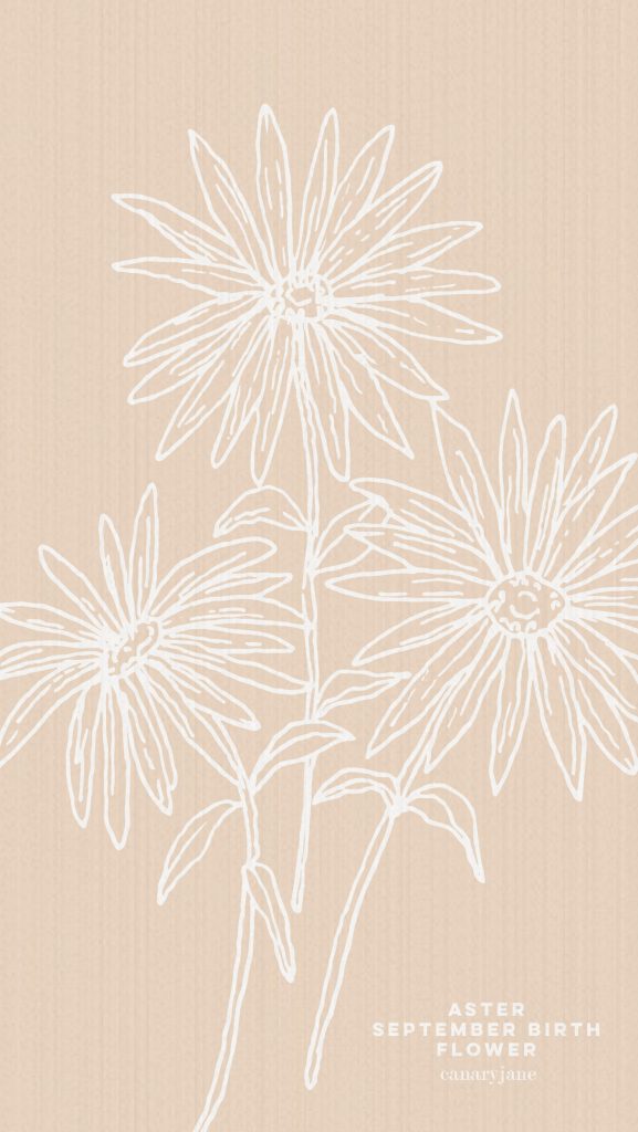 Grab this free printable and free download for the Aster September birth flower. You can put it as your phone background or color away.