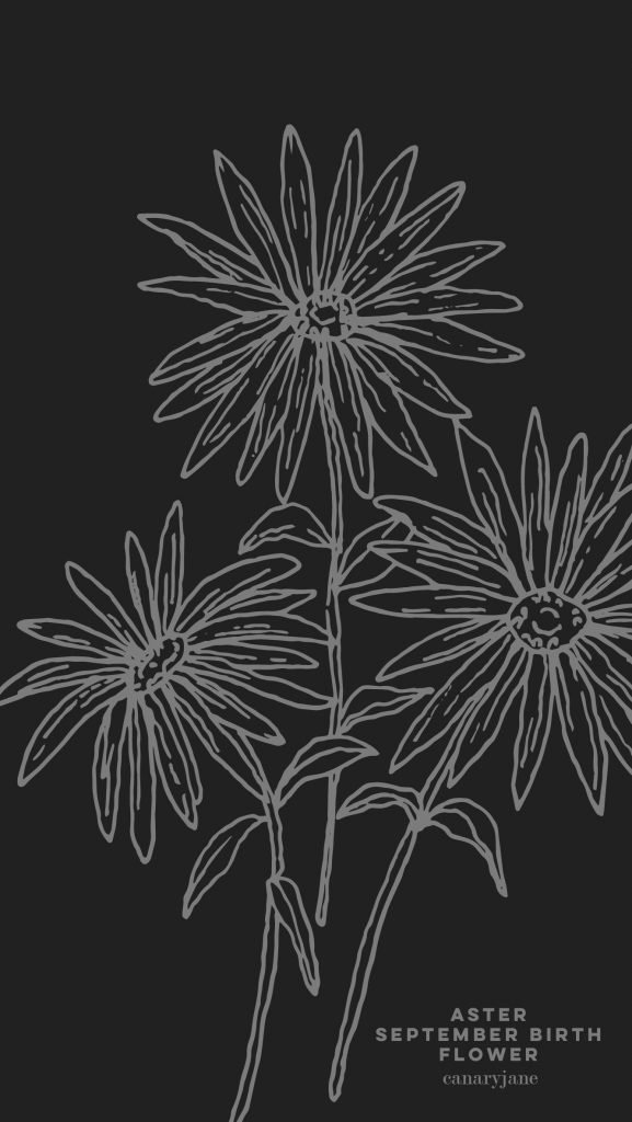 Grab this free printable and free download for the Aster September birth flower. You can put it as your phone background or color away.