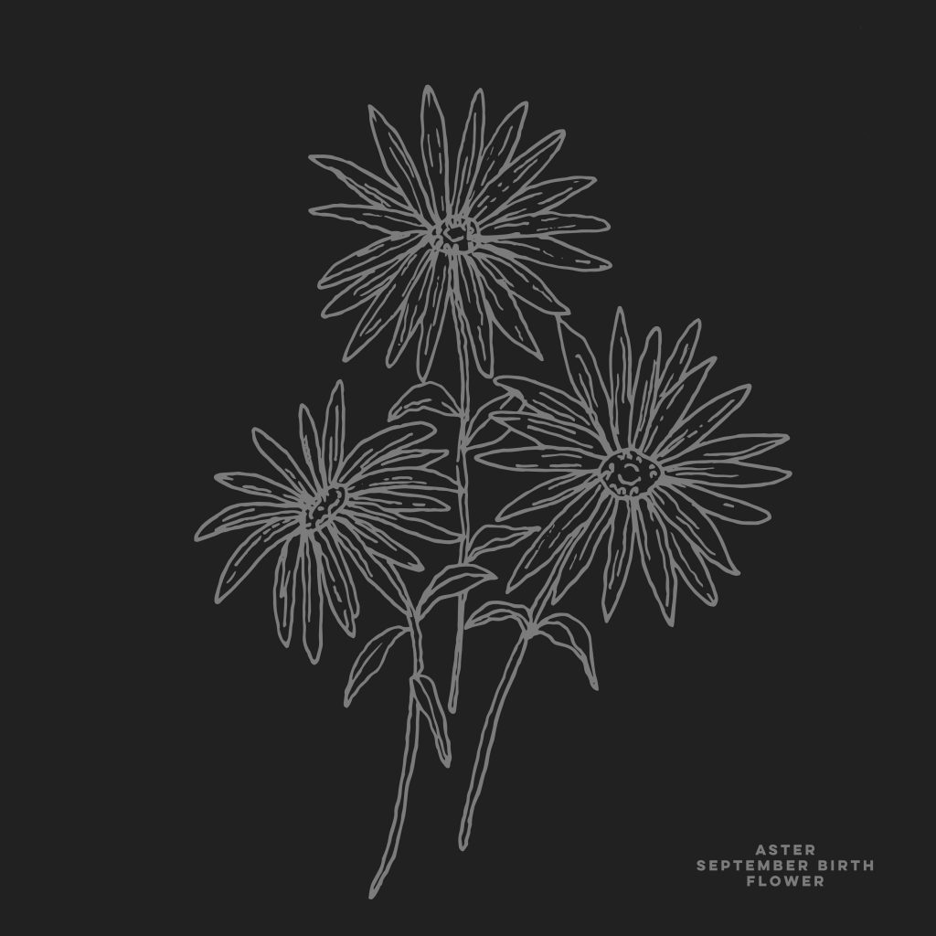 Grab this free printable and free download for the Aster September birth flower. You can put it as your phone background or color away.