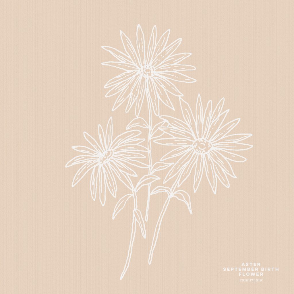 Grab this free printable and free download for the Aster September birth flower. You can put it as your phone background or color away.
