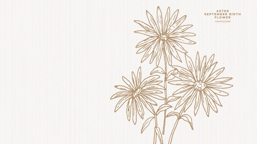 Grab this free printable and free download for the Aster September birth flower. You can put it as your phone background or color away.