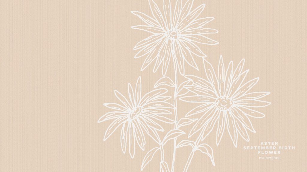 Grab this free printable and free download for the Aster September birth flower. You can put it as your phone background or color away.