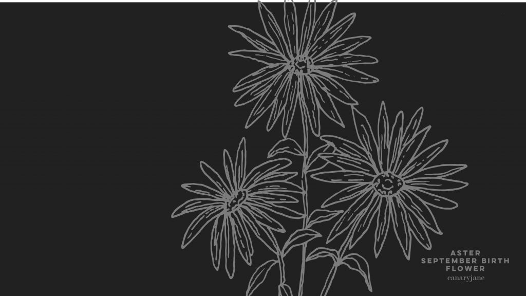 Grab this free printable and free download for the Aster September birth flower. You can put it as your phone background or color away.